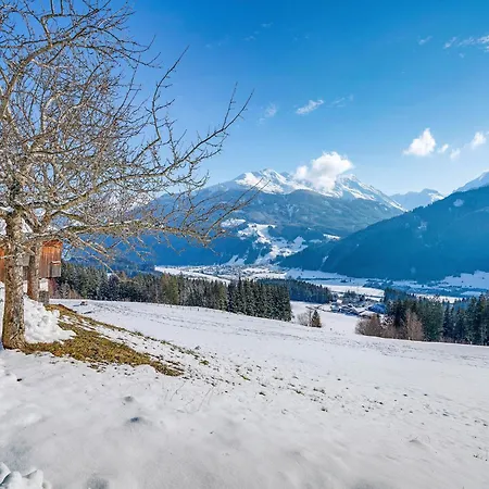 In Hollersbach Near Slopes *