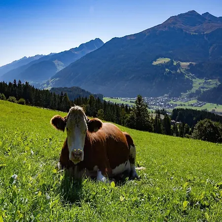 In Hollersbach Near Slopes