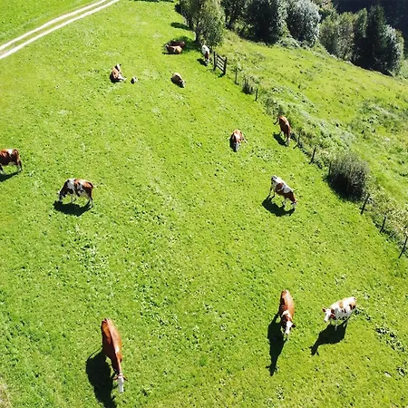 شقة In Hollersbach Near Slopes