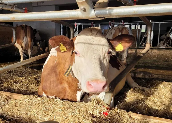 Apartmán In Hollersbach Near Slopes *