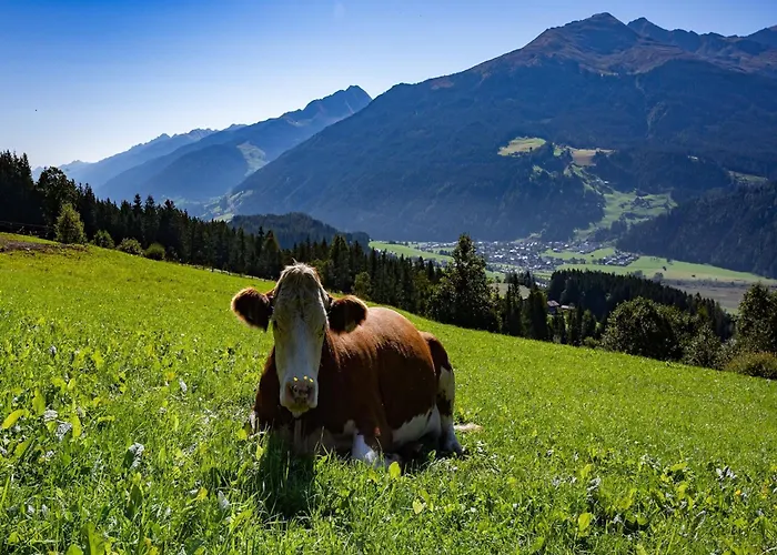 In Hollersbach Near Slopes