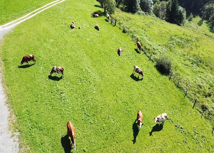 Apartmán In Hollersbach Near Slopes